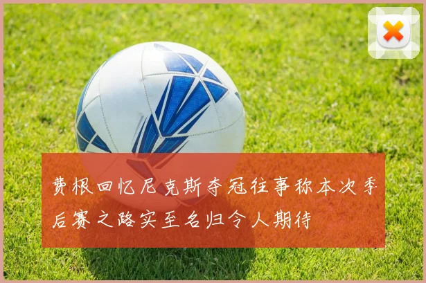 费根回忆尼克斯夺冠往事称本次季后赛之路实至名归令人期待
