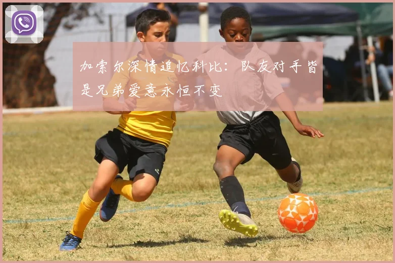 加索尔深情追忆科比：队友对手皆是兄弟爱意永恒不变