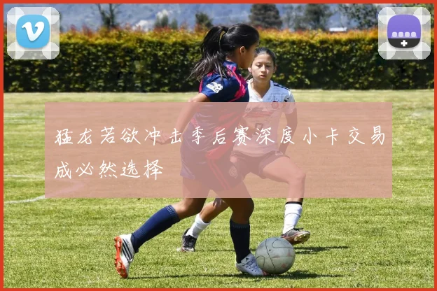 猛龙若欲冲击季后赛深度小卡交易成必然选择