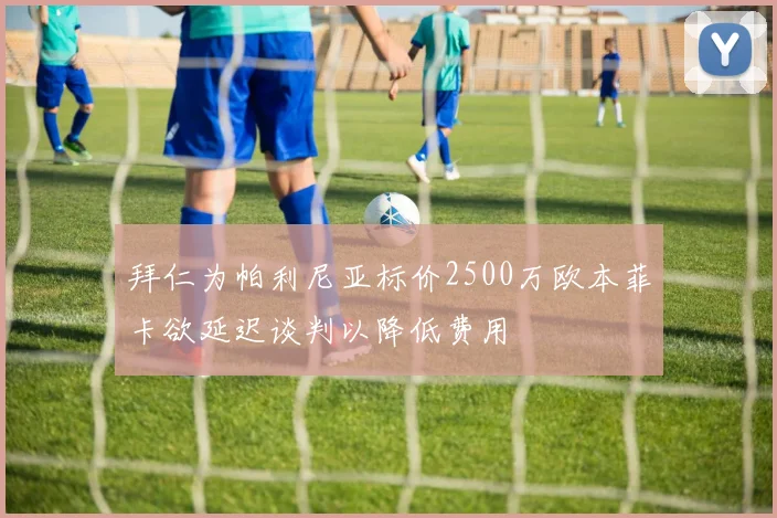 拜仁为帕利尼亚标价2500万欧本菲卡欲延迟谈判以降低费用