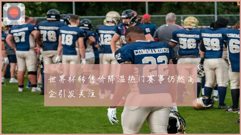 世界杯转售价降温热门赛事仍然高企引发关注